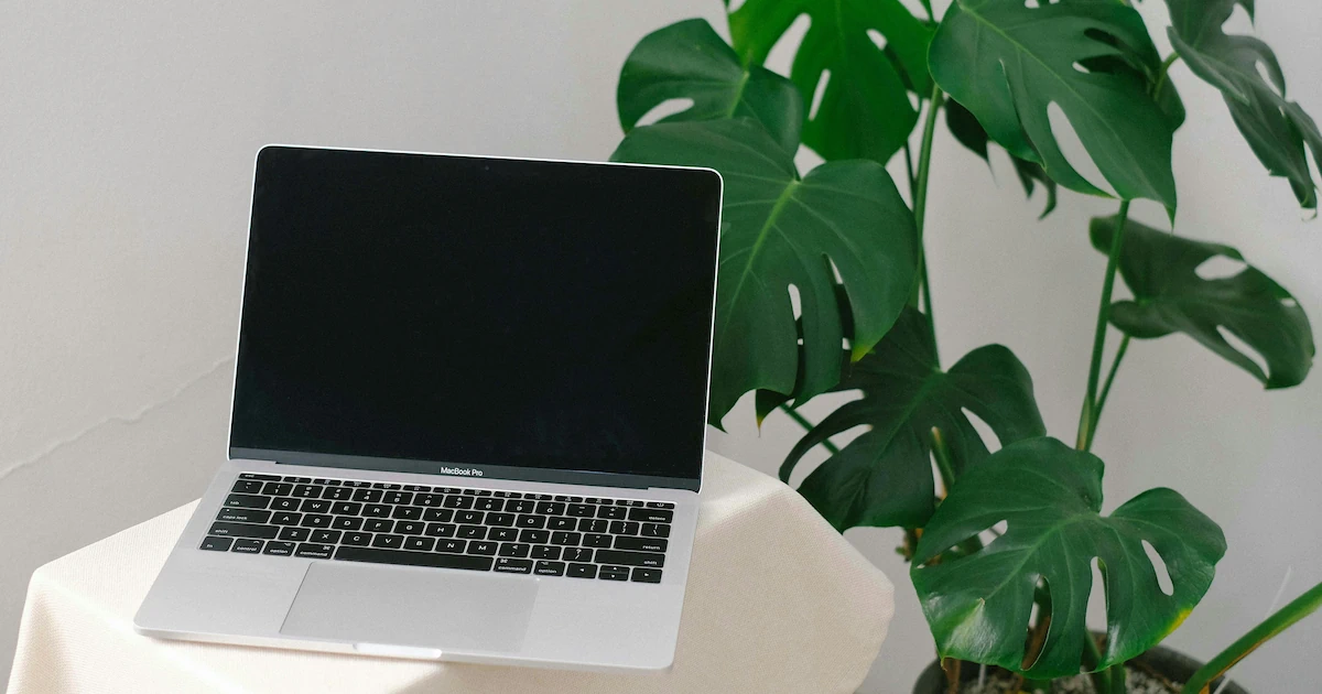 Houston Tech Scene: Complete Guide for Developers & Digital Nomads